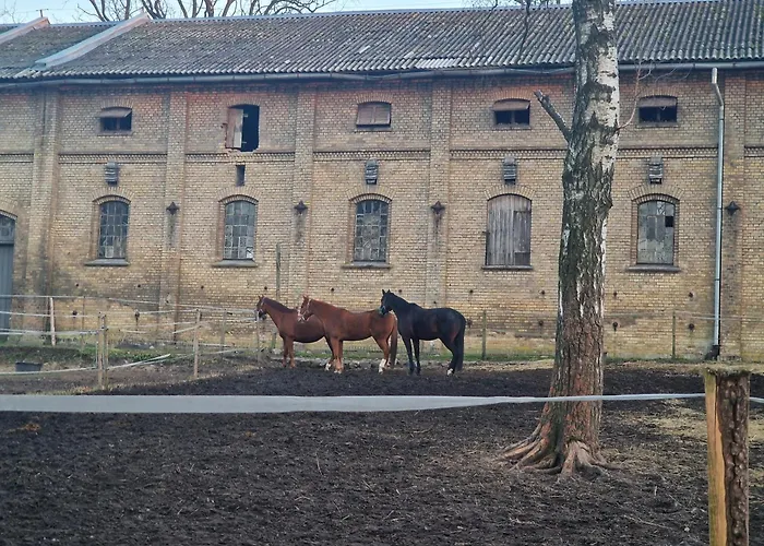 Apartament W Centrum
